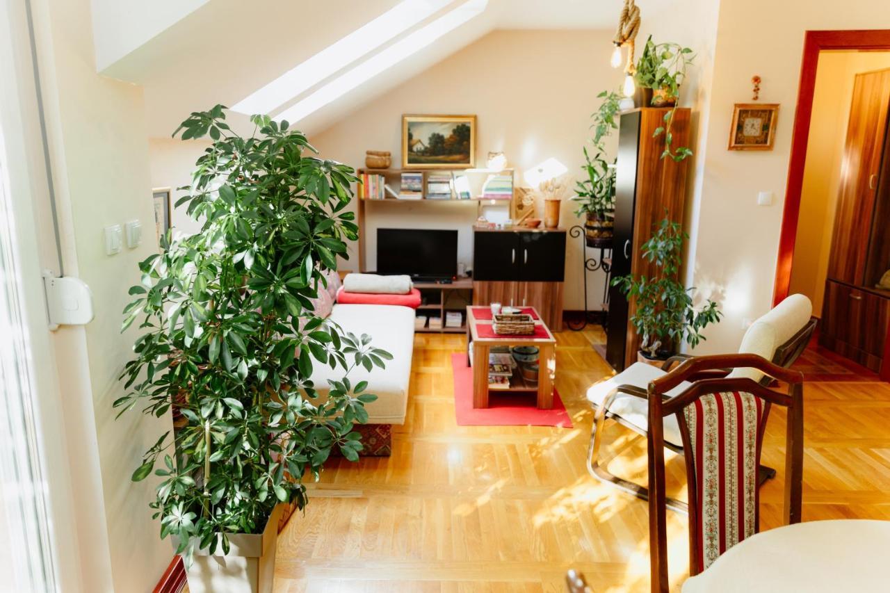 Apartman Zamak Sombor Dış mekan fotoğraf